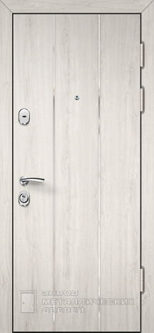 Фото «Светлая дверь №18» в Красногорску